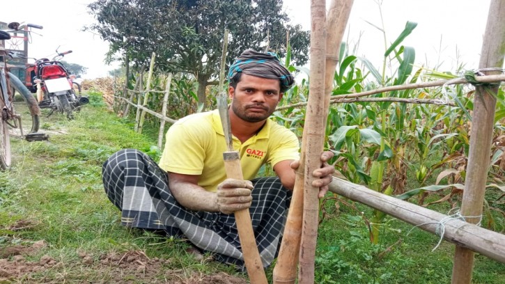 শিবগঞ্জে ১৬ বছর ধরে নিজ খরচে রাস্তা মেরামত ও গাছ লাগাচ্ছেন কামলা আমির 